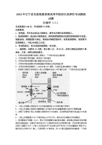 2022-2023学年辽宁省实验中学名校联盟高三上学期1月高考模拟调研卷（三）生物（word版）