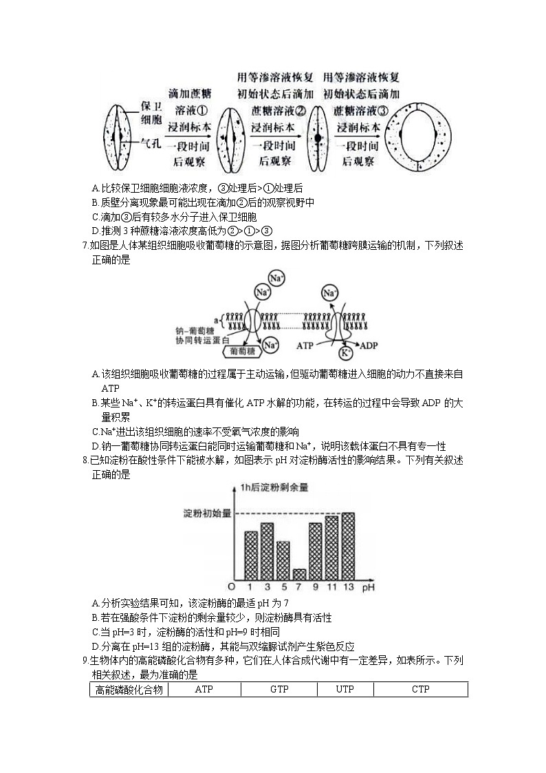 2022-2023学年内蒙古呼和浩特市高三上学期1月质量普查调研考试生物试题（word版）第2页