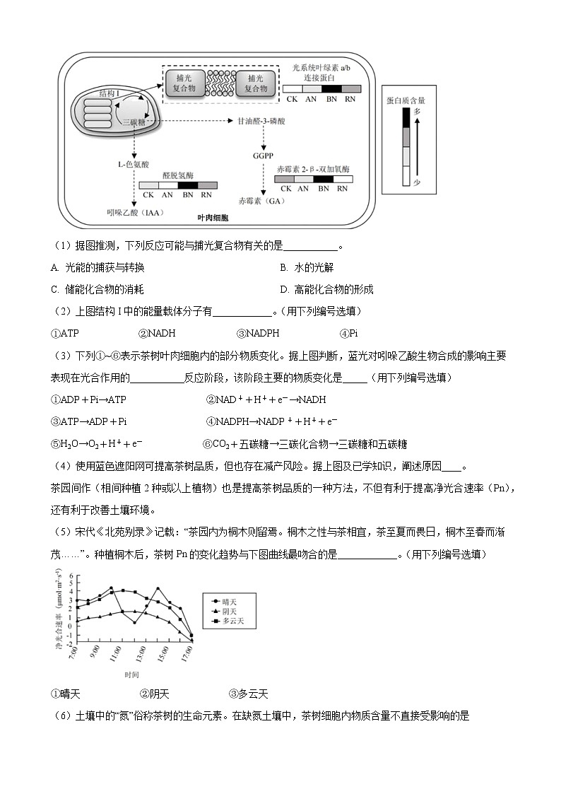 2022-2023学年上海市虹口区高三上学期第一次模拟考试 生物 Word版含答案03
