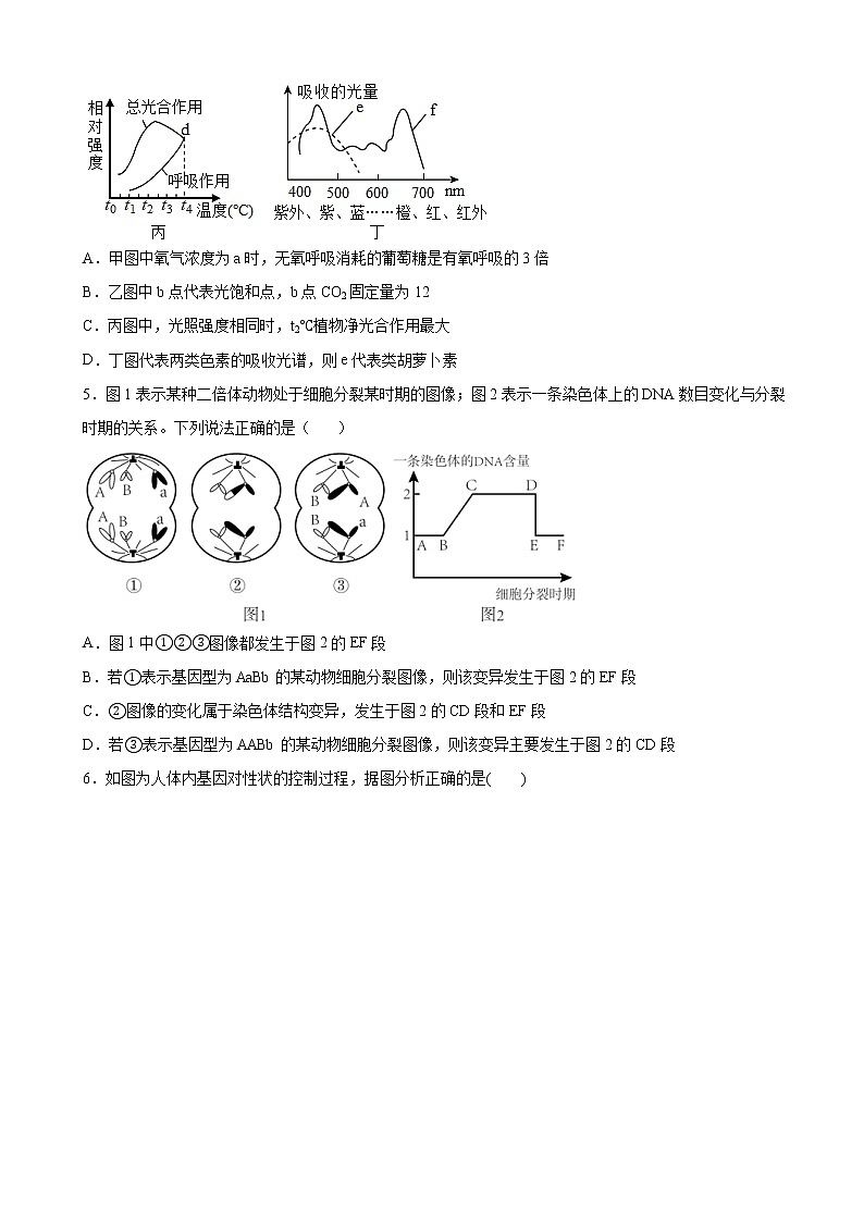 2022-2023学年四川省绵阳市盐亭名校高三上学期第二次模拟考试生物试题（解析版）02
