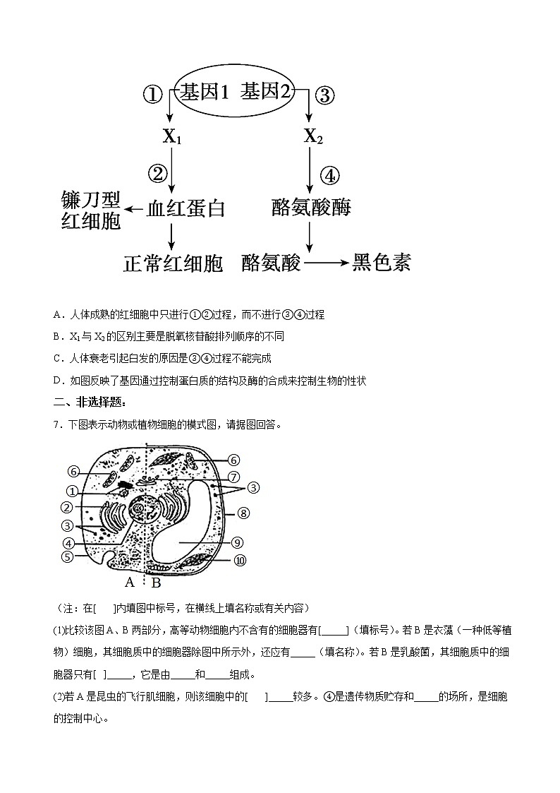 2022-2023学年四川省绵阳市盐亭名校高三上学期第二次模拟考试生物试题（解析版）03