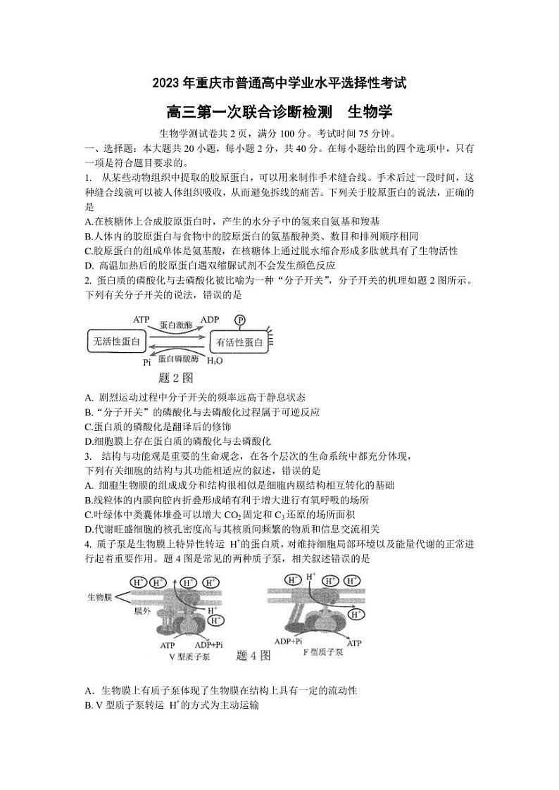 2022-2023学年重庆市高三上学期第一次联合诊断检测生物试题（PDF版）01