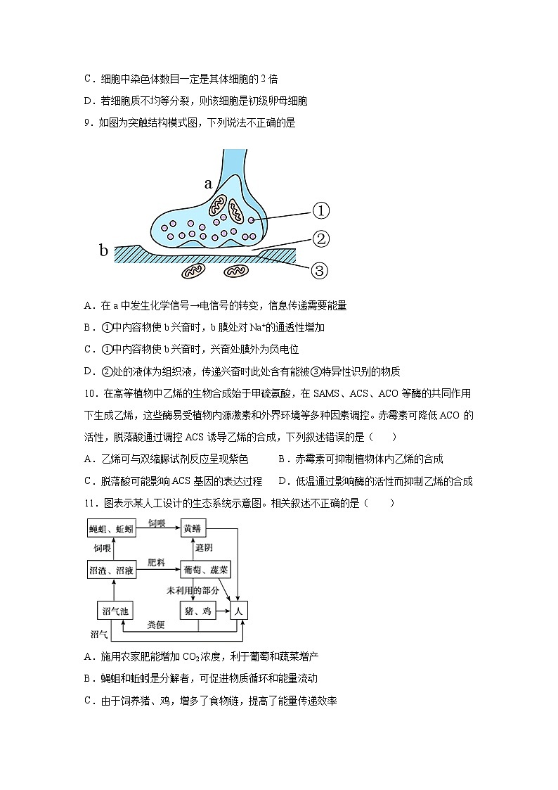 2023届新高考生物模拟试题（山东卷）（解析版）03