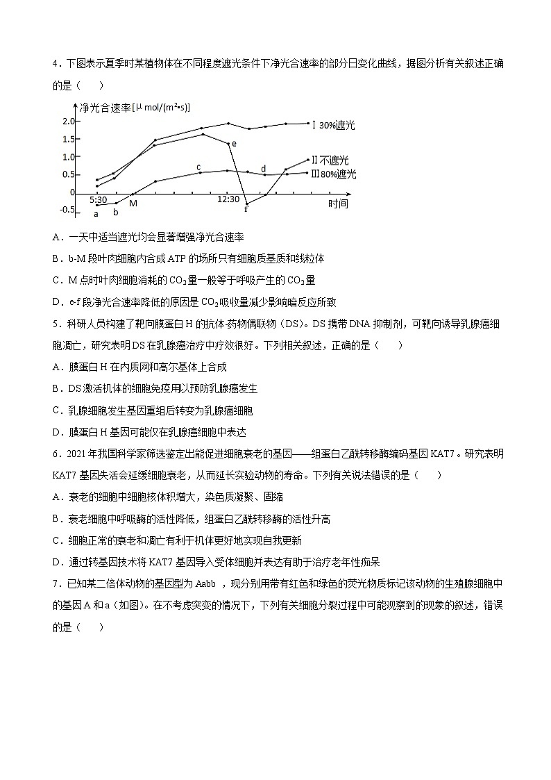 2023届浙江省高三高考适应性模拟测试（三）生物试题（解析版）02