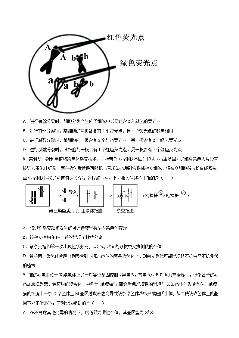 2023届浙江省高三高考适应性模拟测试（三）生物试题（解析版）03