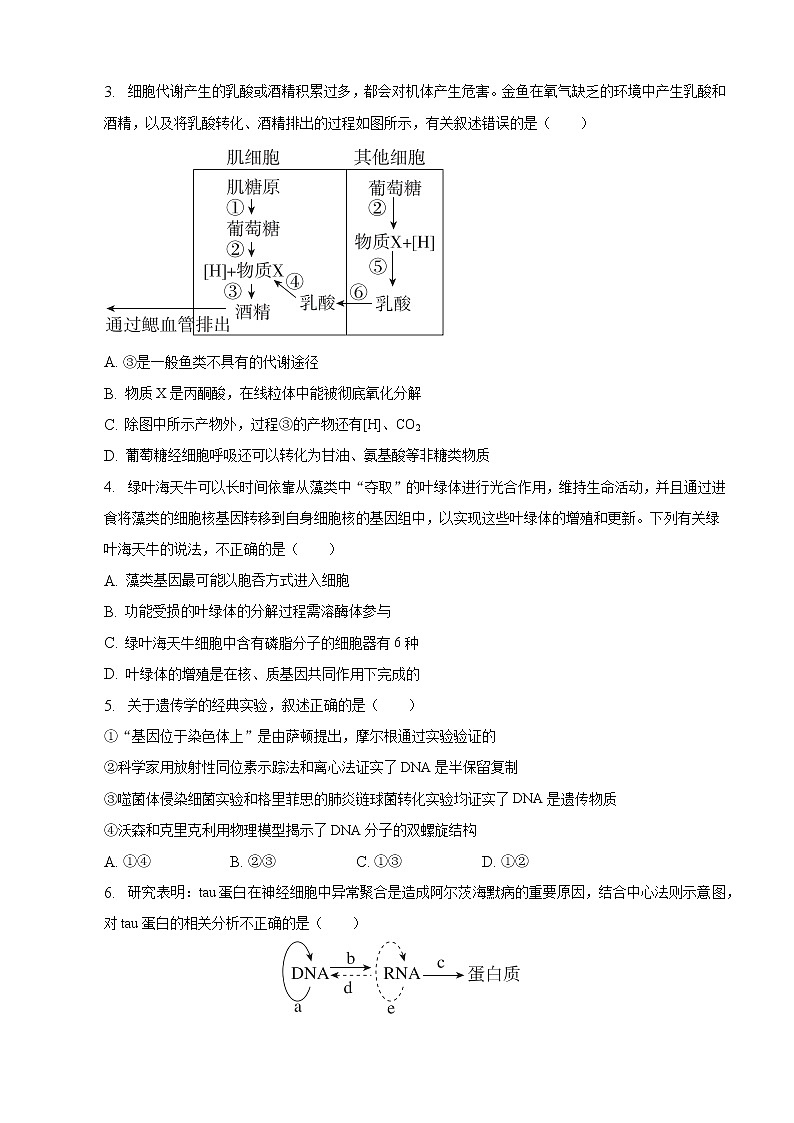 2022-2023学年广东省深圳市光明区高三上学期期末生物试卷（word版）第2页