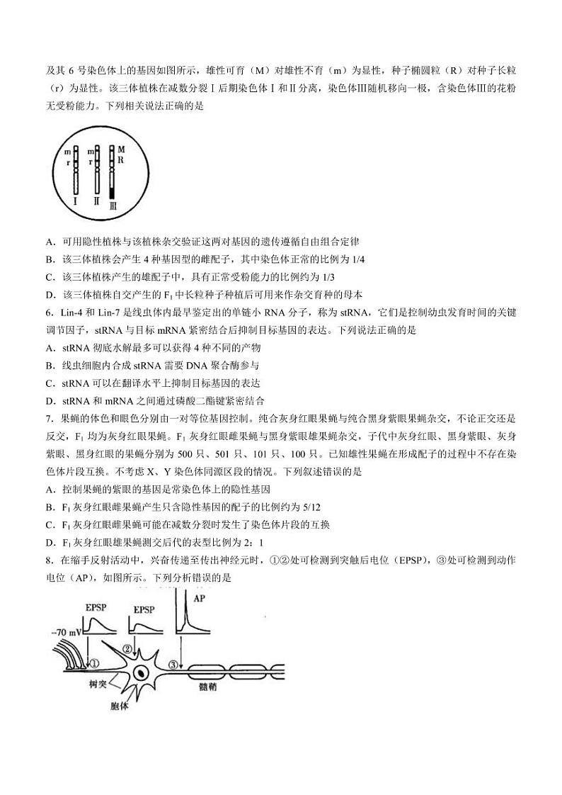 2022-2023学年广东省实验中学部分名校高三下学期开学考试生物学试题（PDF版）02