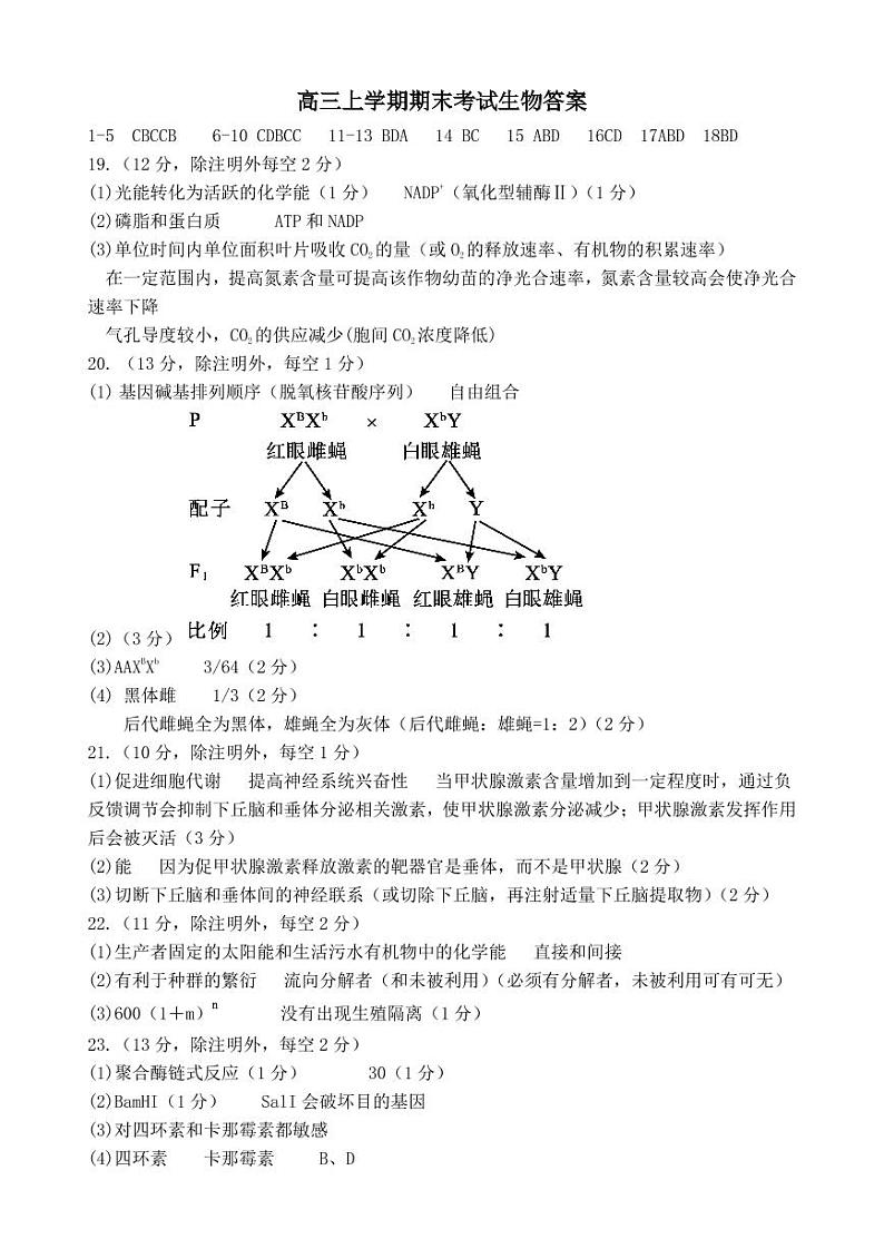 2022-2023学年河北省邢台市一中高三上学期期末考试生物学试题（word版）01