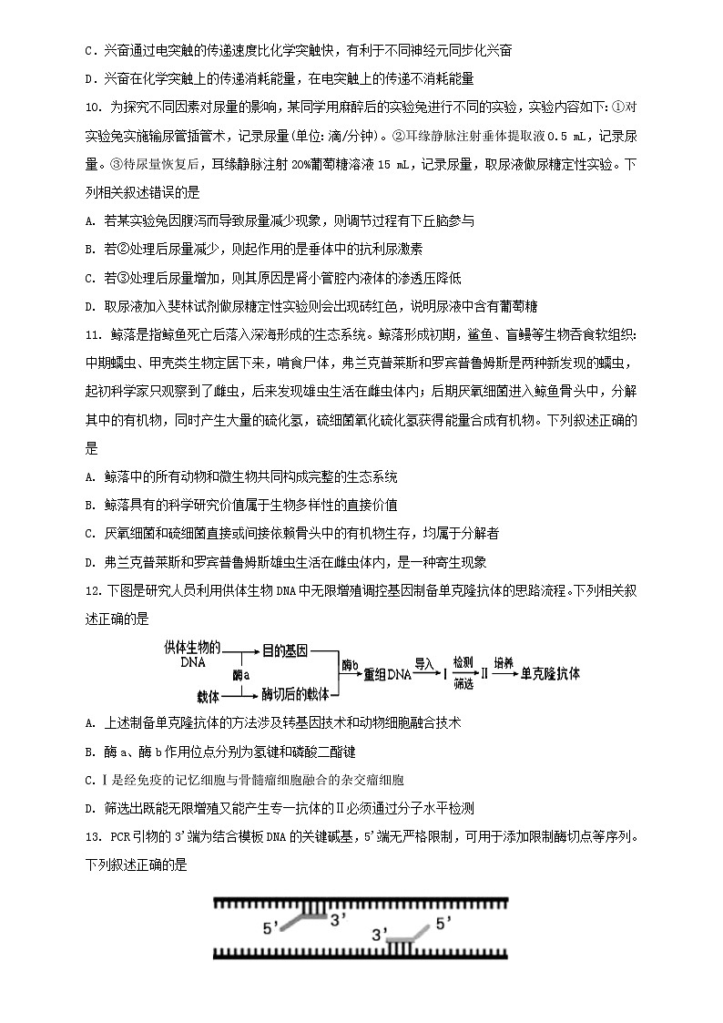 2022-2023学年河北省邢台市一中高三上学期期末考试生物学试题（word版）03