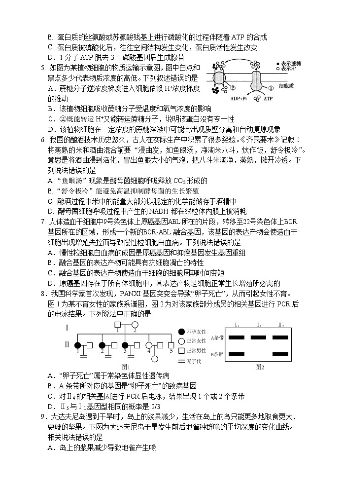 2022-2023学年湖南省常德市高三上学期检测考试生物试题 word版02
