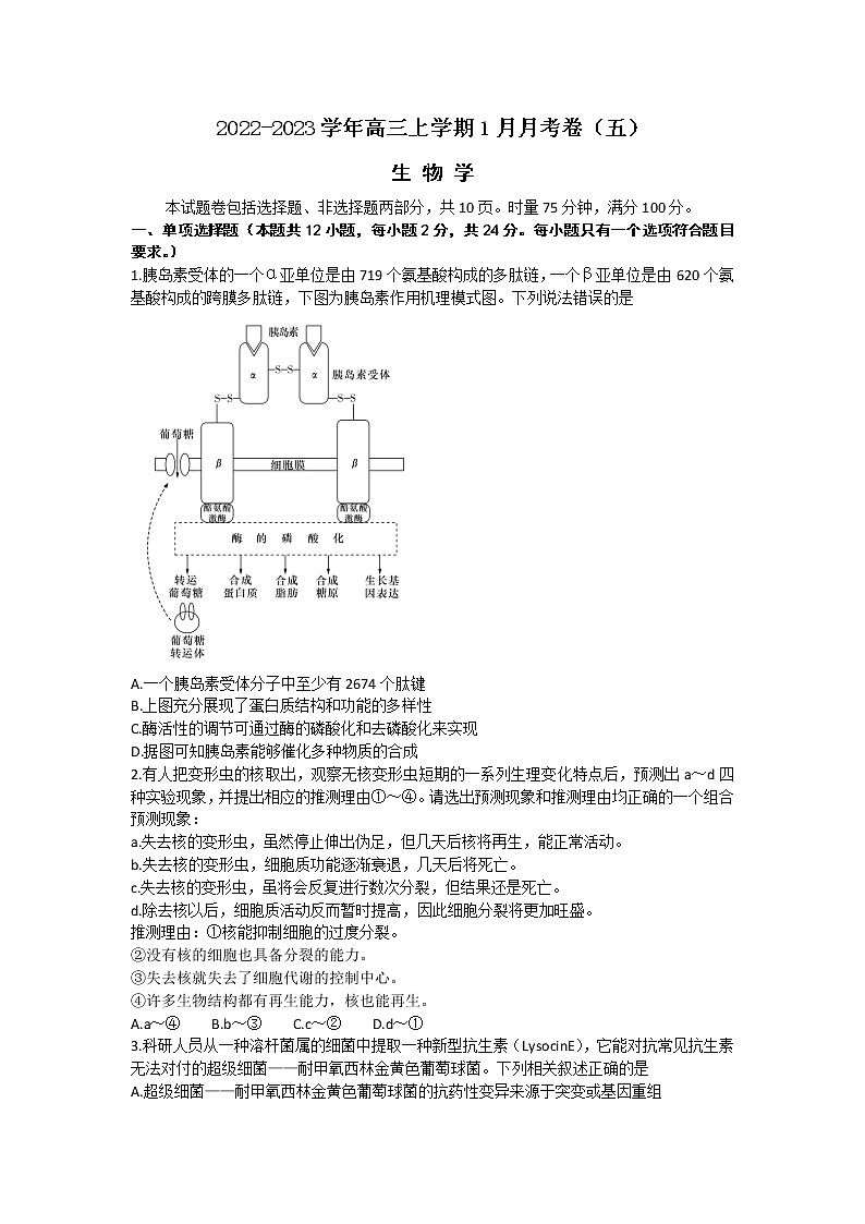 2022-2023学年湖南省长沙市雅礼中学高三上学期1月月考卷（五）生物学试题（word版）01