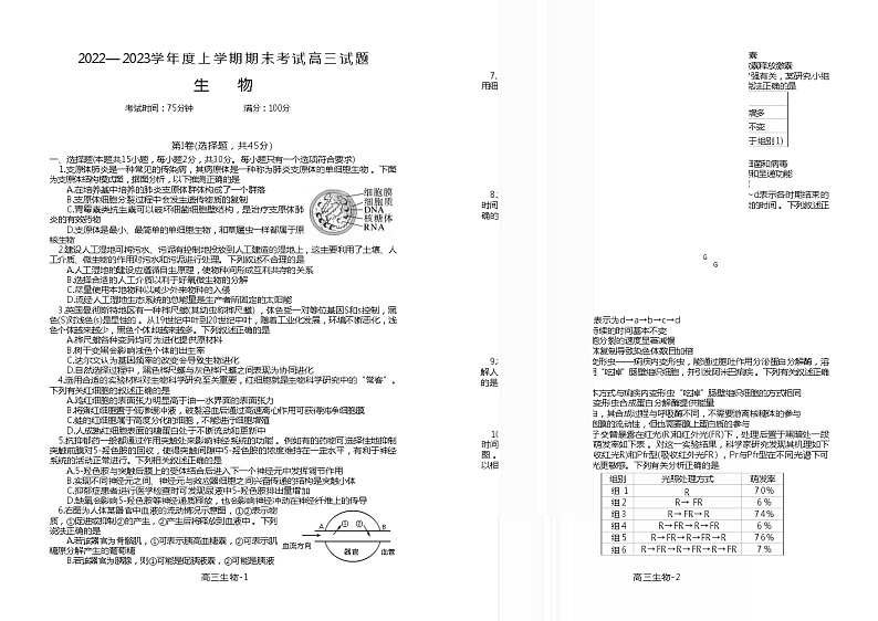 2022-2023学年辽宁省丹东市高三上学期期末考试生物学试题（word版）01