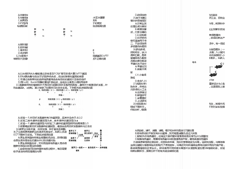 2022-2023学年辽宁省丹东市高三上学期期末考试生物学试题（word版）02
