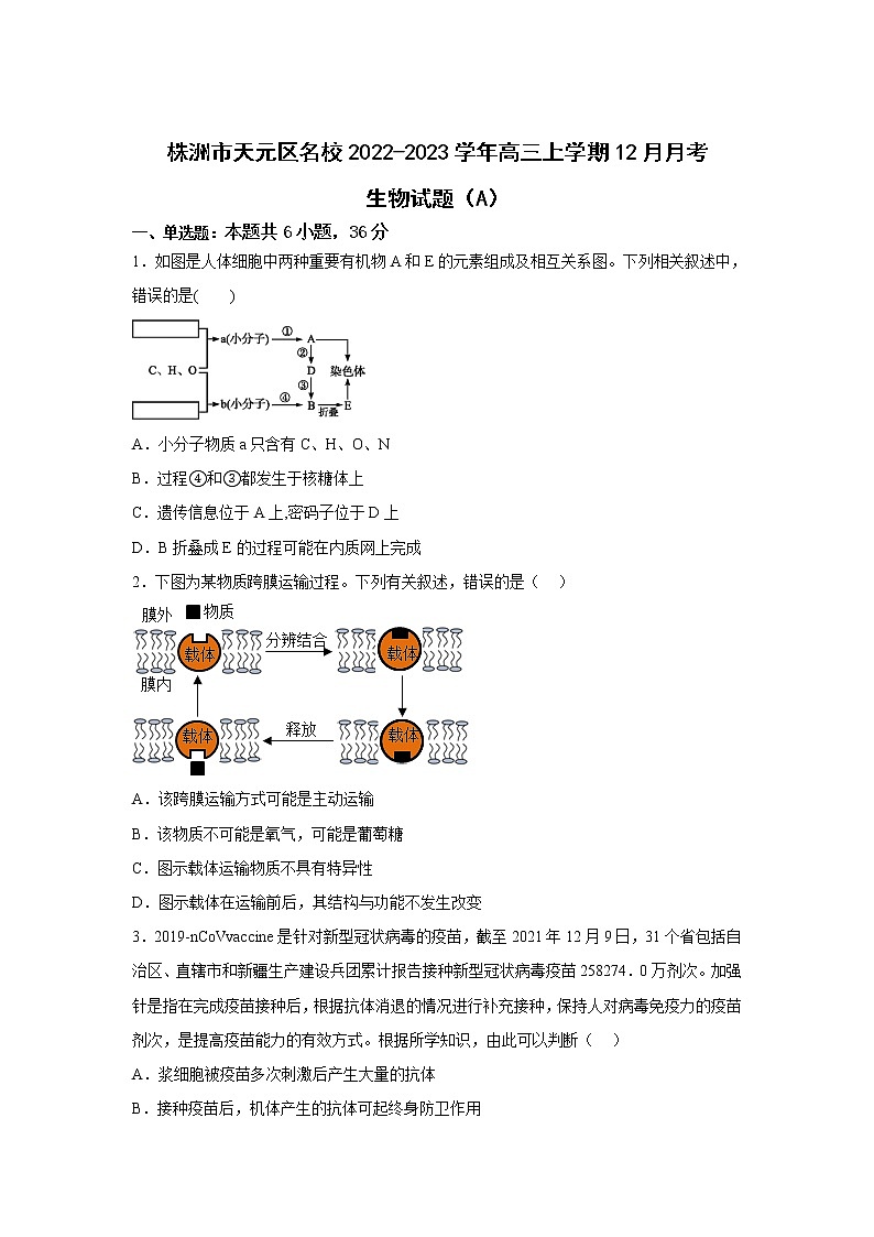 2023届湖南省株洲市天元区名校高三上学期12月月考（A）生物试卷01