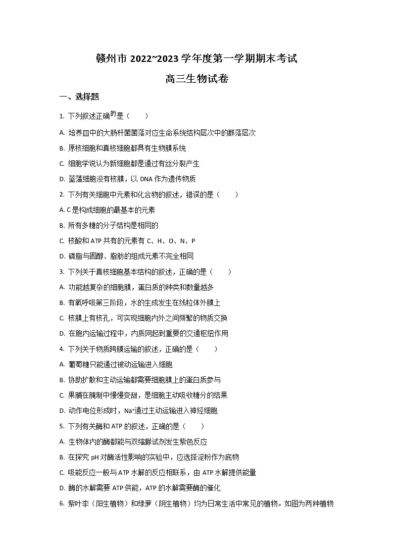 2023届江西省赣州市高三上学期1月期末生物试题（解析版）01