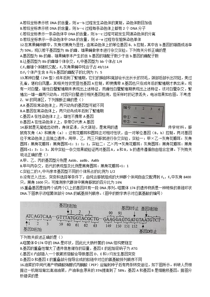 2023届江西省五市九校高三上学期第一次联考生物试卷（含部分解析）03