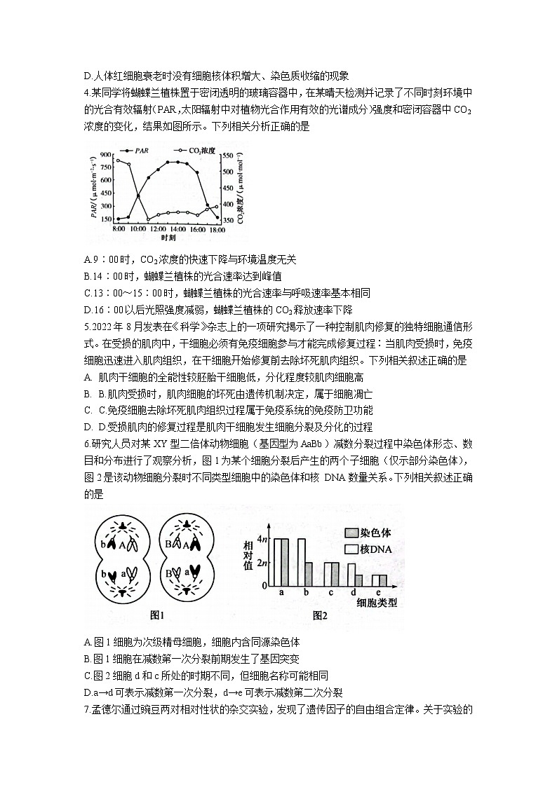 陕西省府谷中学2023届高三上学期11月第三次月考生物试卷（含部分解析）第2页