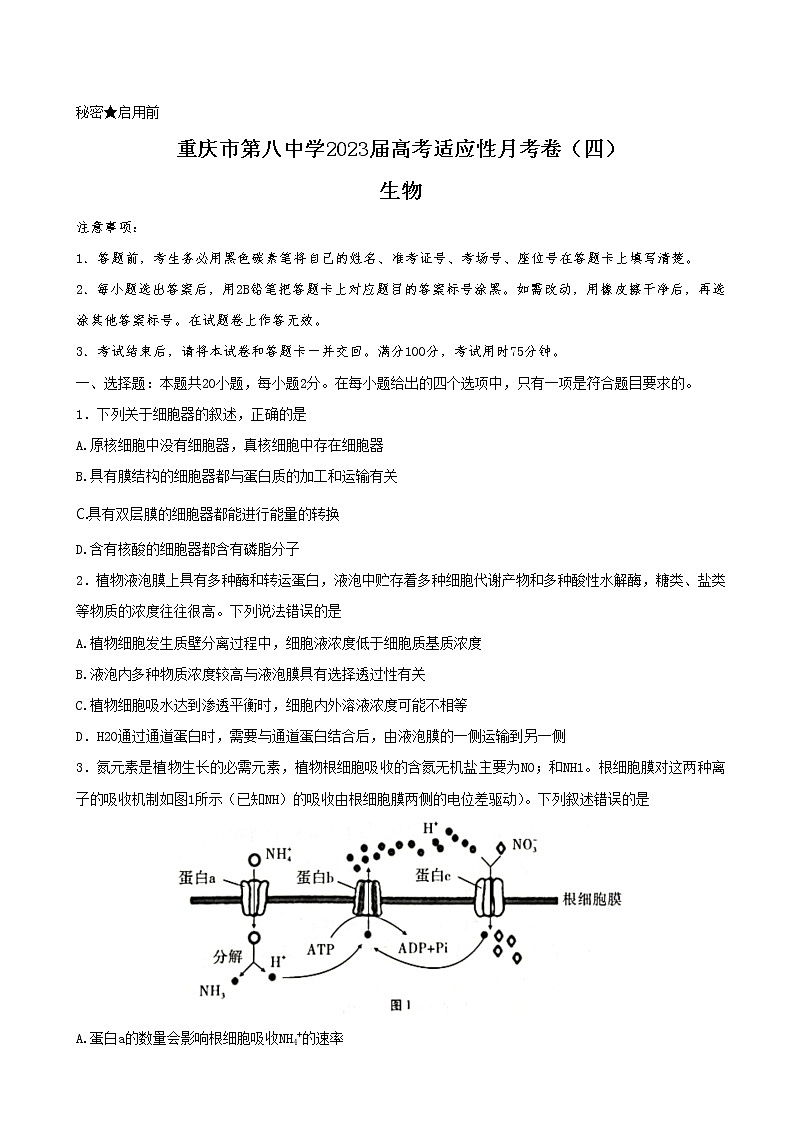 重庆市第八中学校2023届高考适应性月考卷（四）生物试卷（含部分解析）第1页