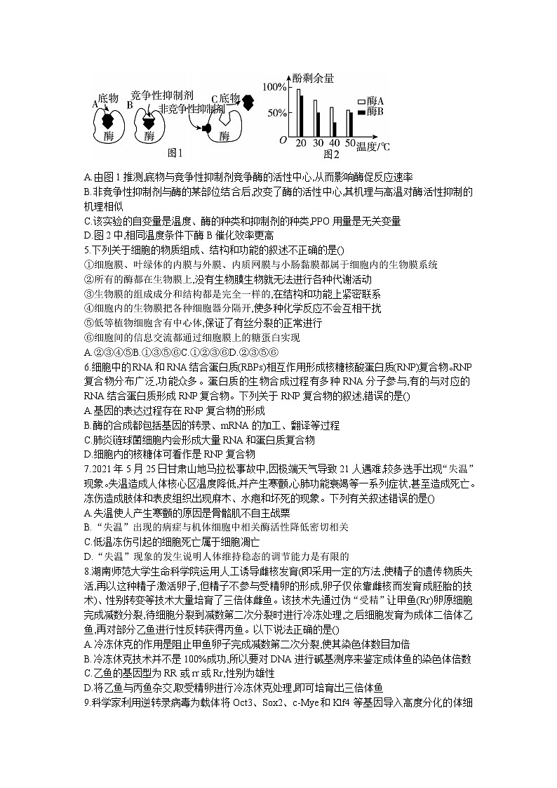 湖南省邵阳市2022-2023学年高三上学期第一次联考（一模）生物试题（word版）第2页