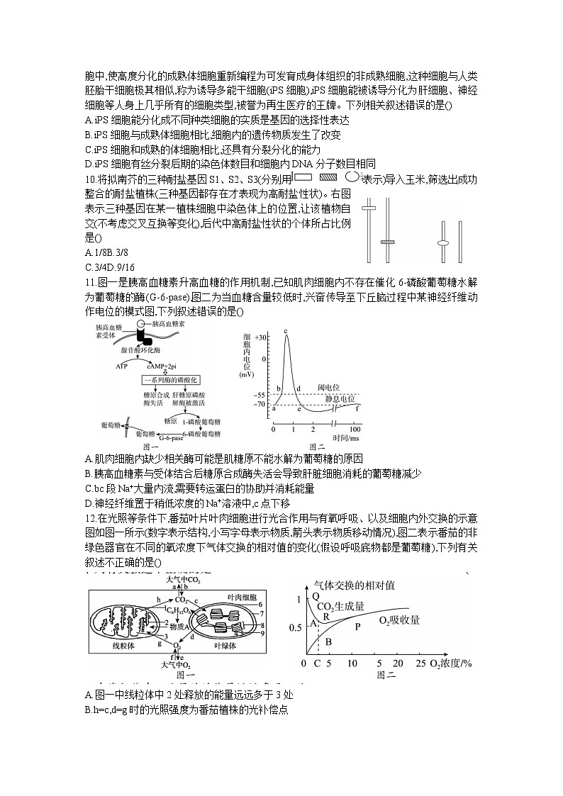 湖南省邵阳市2022-2023学年高三上学期第一次联考（一模）生物试题（word版）第3页