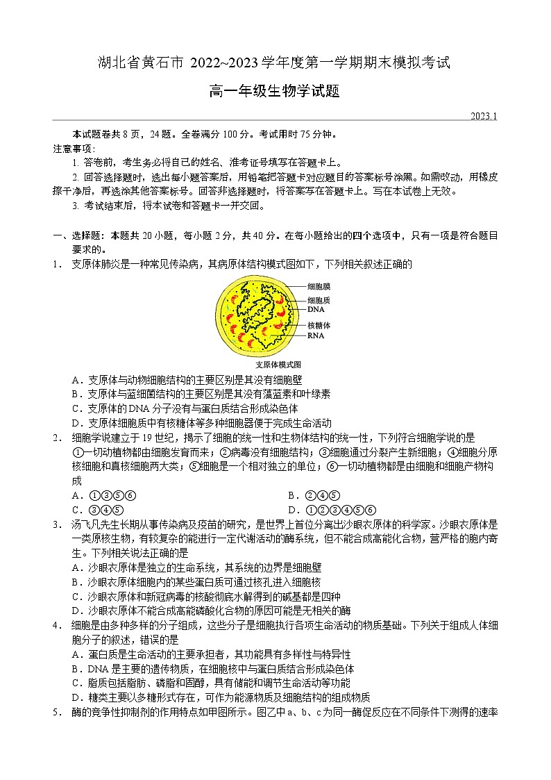 2022_2023学年湖北省黄石市高一上学期期末模拟生物试题第1页