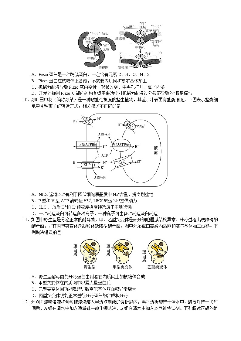 2022_2023学年湖北省黄石市高一上学期期末模拟生物试题第3页