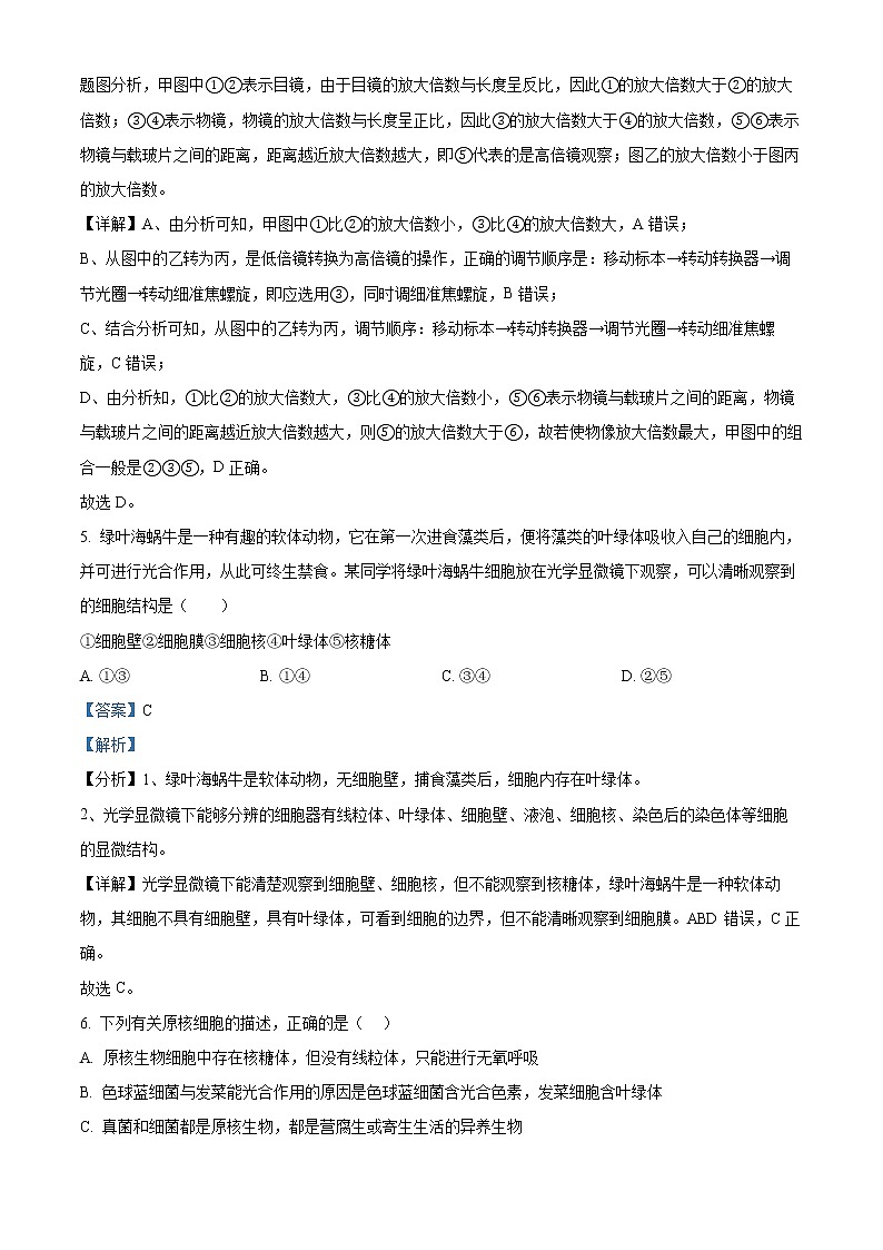 2022-2023学年广东省江门市一中高一上学期期末生物试题（解析版）03