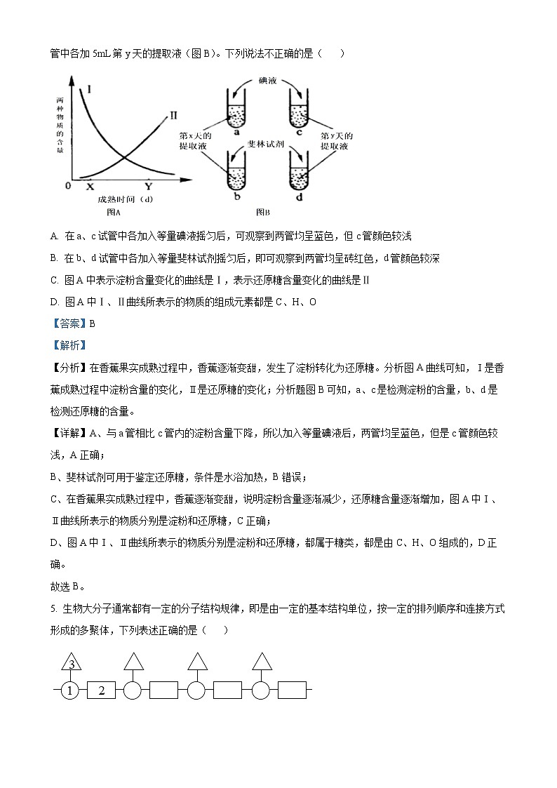 2022-2023学年湖南省长沙市麓山国际实验学校高一上学期期末第二次线上考试生物试题（解析版）03