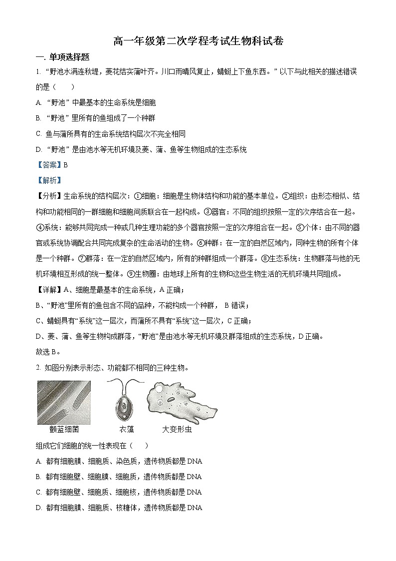 2022-2023学年吉林省长春市二中高一上学期期末生物试题（解析版）01