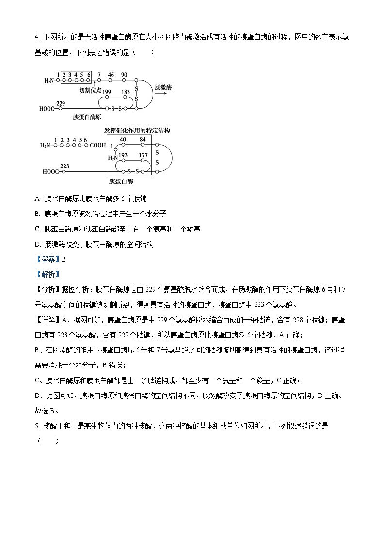 2022-2023学年江苏省盐城市亭湖高级中学高一上学期期末生物试题（解析版）03