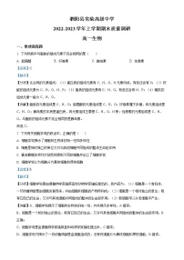 2022-2023学年江苏省泗阳县实验高级中学高一上学期期末生物试题（解析版）