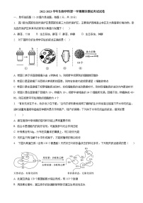 2022-2023学年河南省洛阳市洛宁县第一高级中学高一上学期期末考试模拟试卷—生物