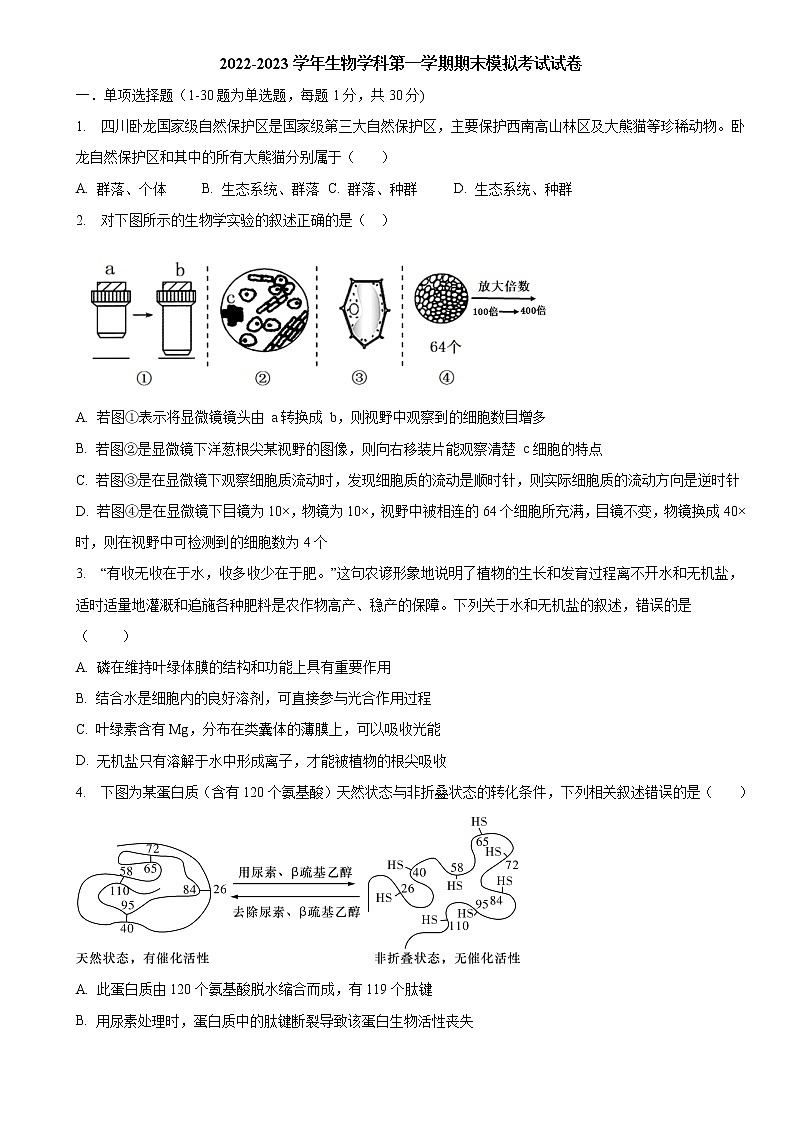 2022-2023学年河南省洛阳市洛宁县第一高级中学高一上学期期末考试模拟试卷—生物01