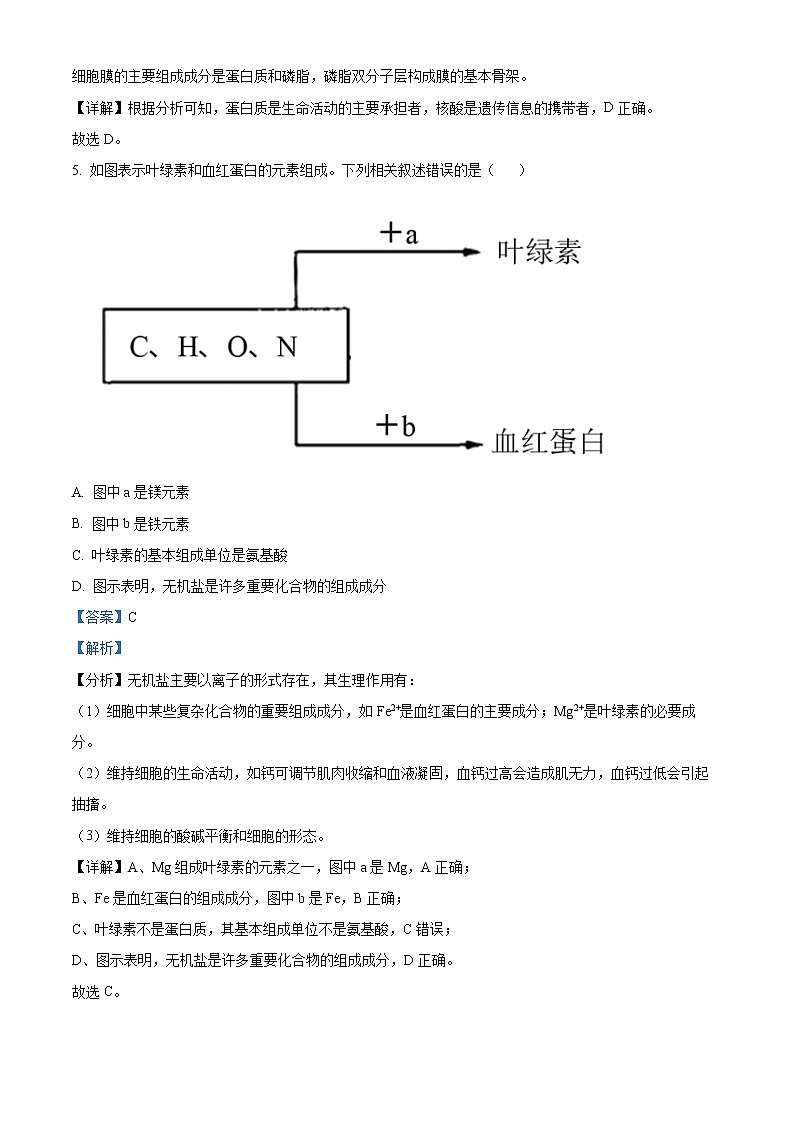 2022—2023学年广西桂林市阳朔中学高一上学期期中生物试题（解析版）03