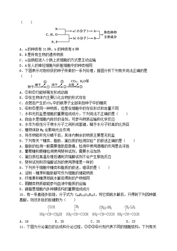 2022-2023学年河北省石家庄二中教育集团高一上学期期末四校联考试题 生物02