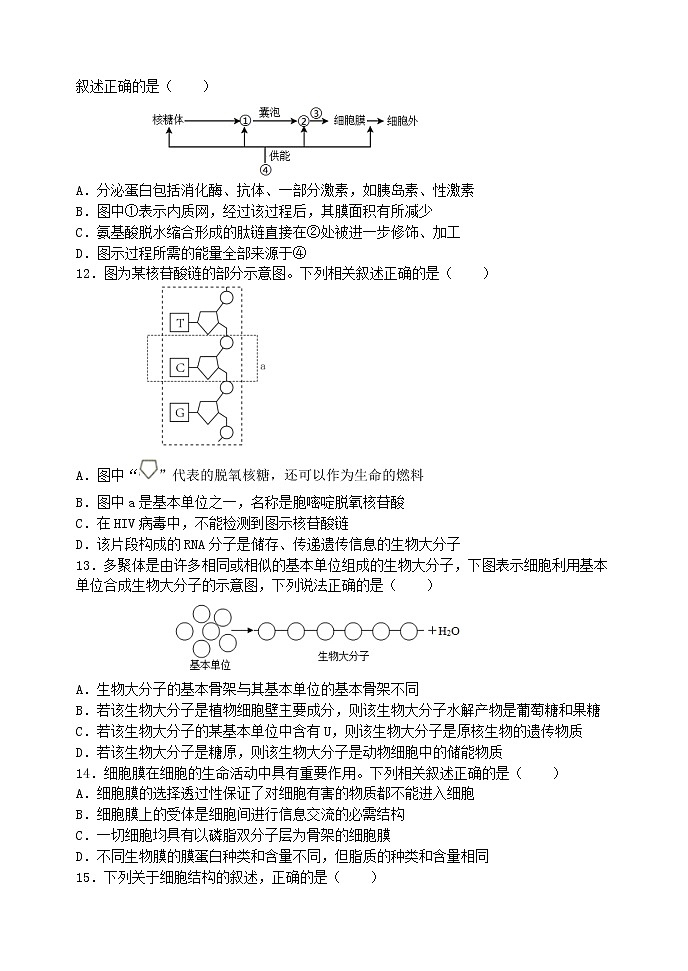 2022-2023学年河北省石家庄二中教育集团高一上学期期末四校联考试题 生物03