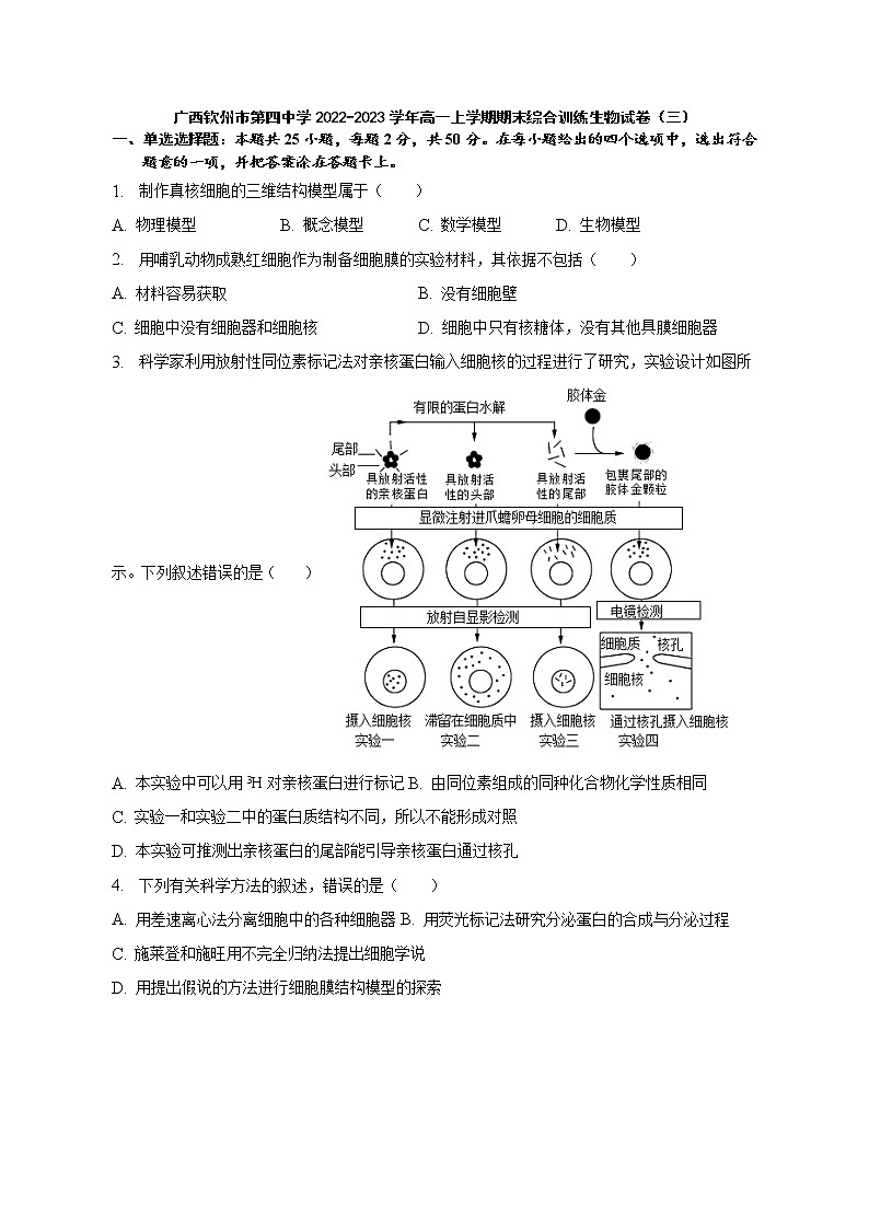 2022-2023学年广西钦州市第四中学高一上学期期末综合训练生物试卷（三）01