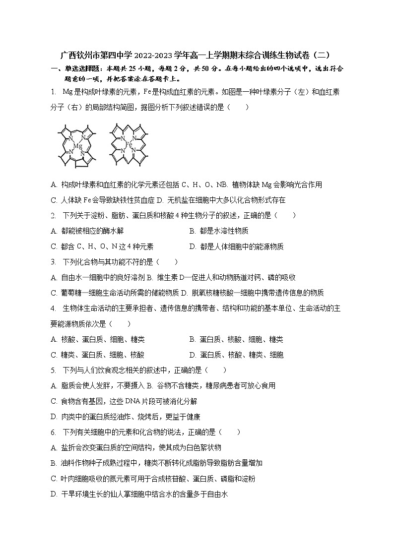 2022-2023学年广西钦州市第四中学高一上学期期末综合训练生物试卷（二）第1页