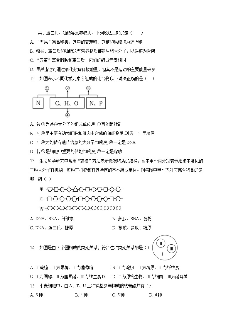 2022-2023学年广西钦州市第四中学高一上学期期末综合训练生物试卷（二）第3页