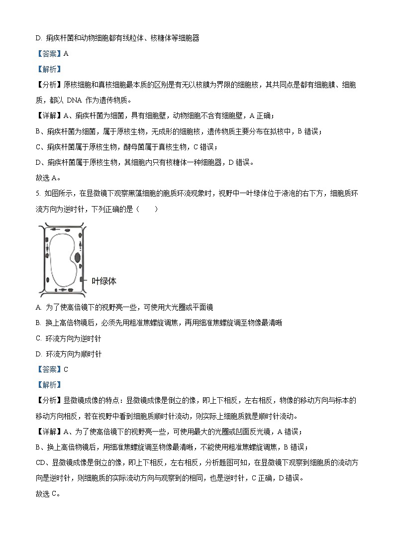 2022-2023学年广东江门市江门市第一中学高一上学期期中生物试题（解析版）第3页