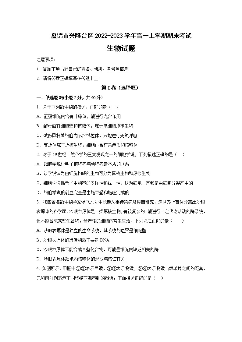2022-2023学年辽宁省盘锦市兴隆台区高一上学期期末考试生物学试题（Word版含答案）01