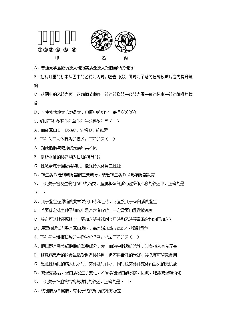 2022-2023学年辽宁省盘锦市兴隆台区高一上学期期末考试生物学试题（Word版含答案）02