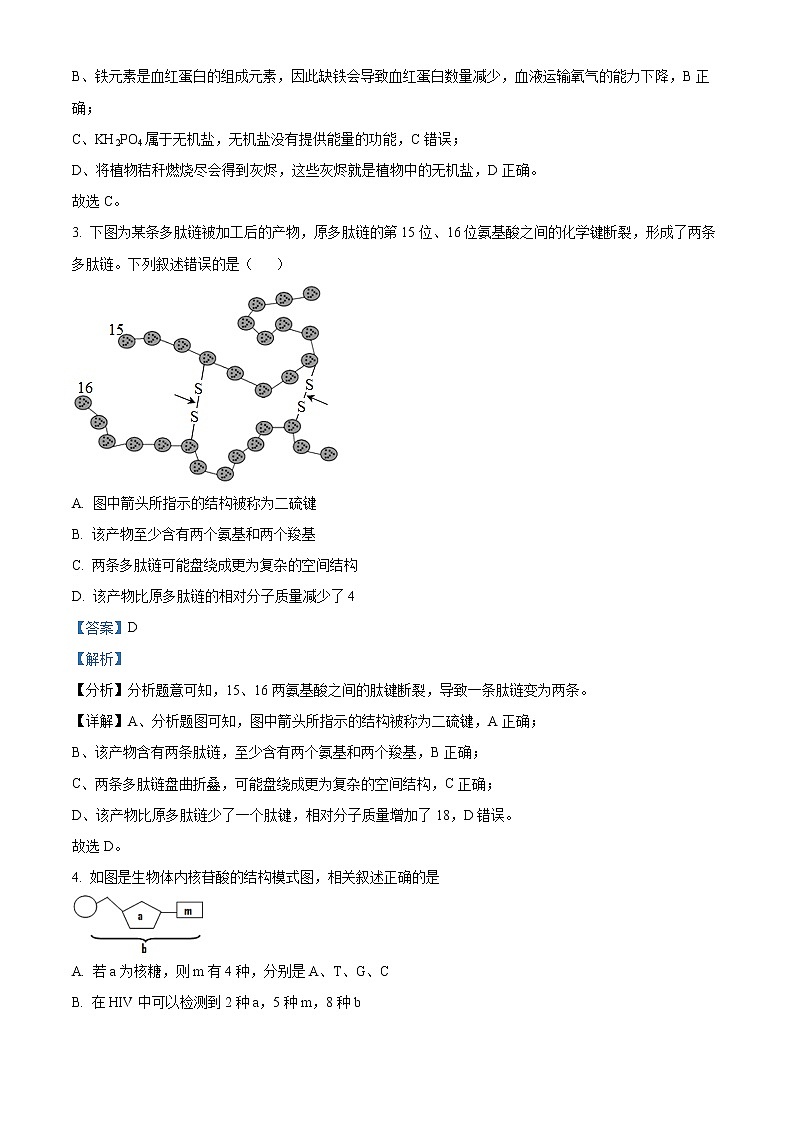 2022-2023学年江苏省盐城市响水县响水高中高一上学期期末测试生物学试题（解析版）第2页