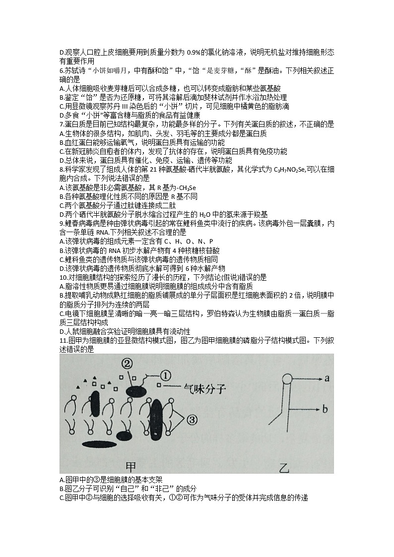 2022-2023学年河南省南阳市高一上学期期末质量评估生物试题02