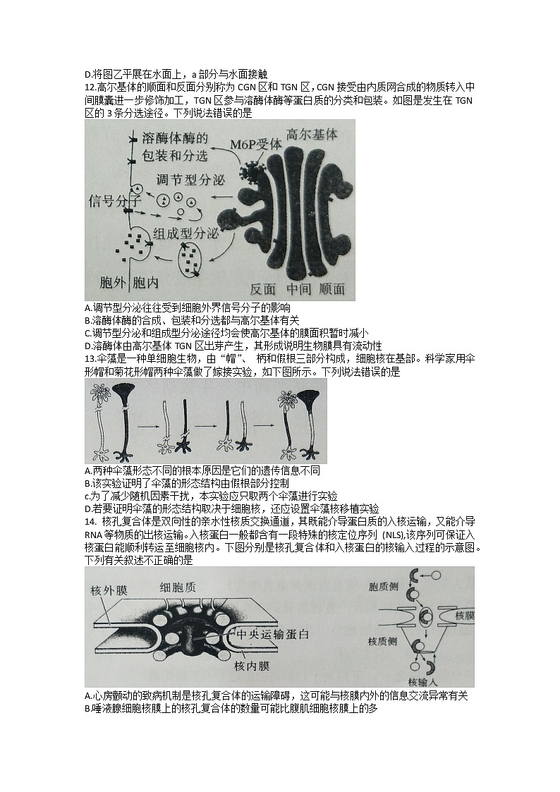 2022-2023学年河南省南阳市高一上学期期末质量评估生物试题03