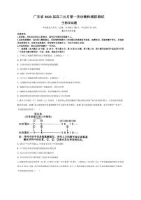 2023届广东省高三元月第一次诊断性模拟测试生物学试题（PDF版）