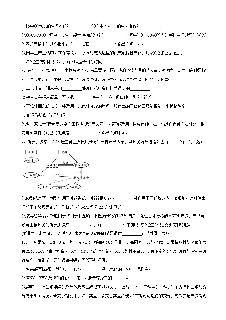 2023届四川省绵阳市高三第二次诊断性考试（二模）理综生物试题（解析版）03