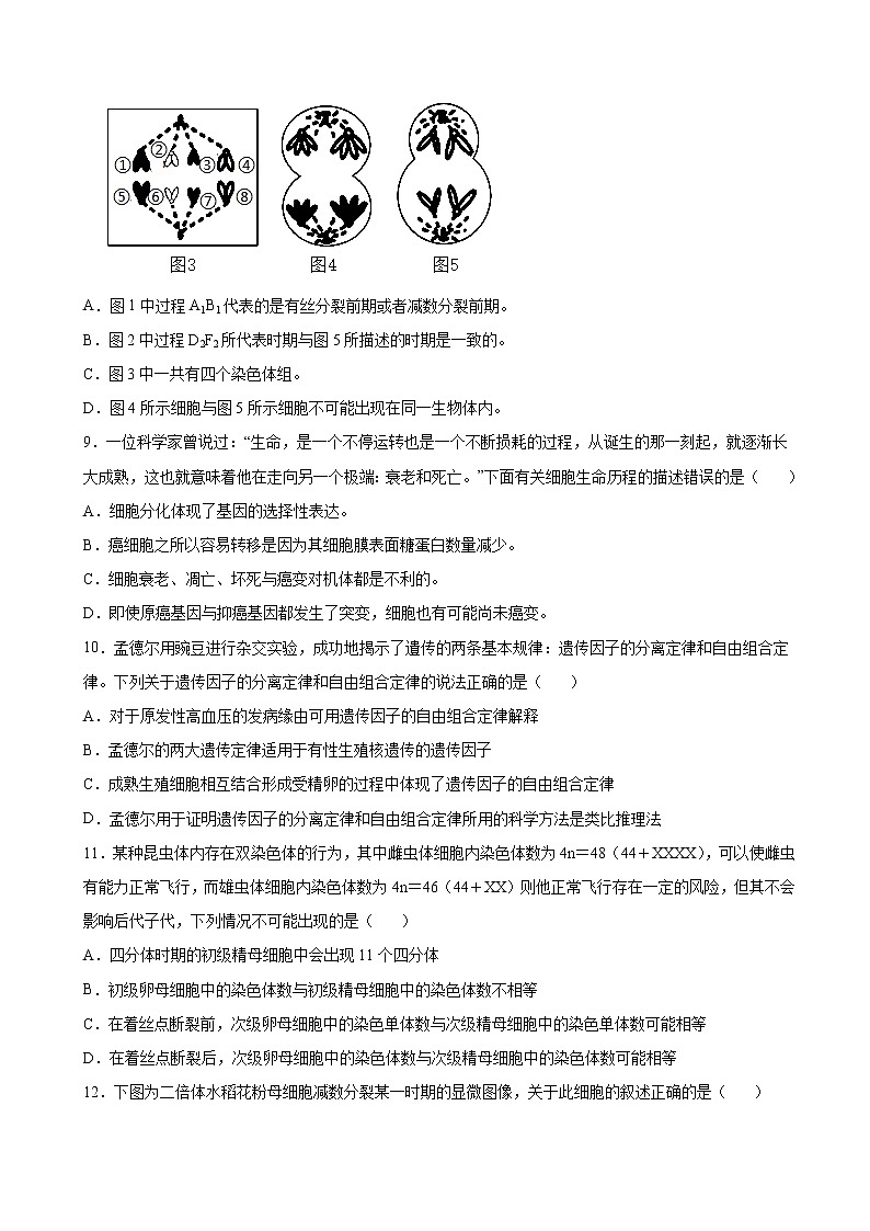 2023届浙江省高三普通高等学校选择性科目考前模拟联考生物试题（解析版）03