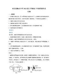 2023年河北省衡水中学高三四调考试 生物 含解析