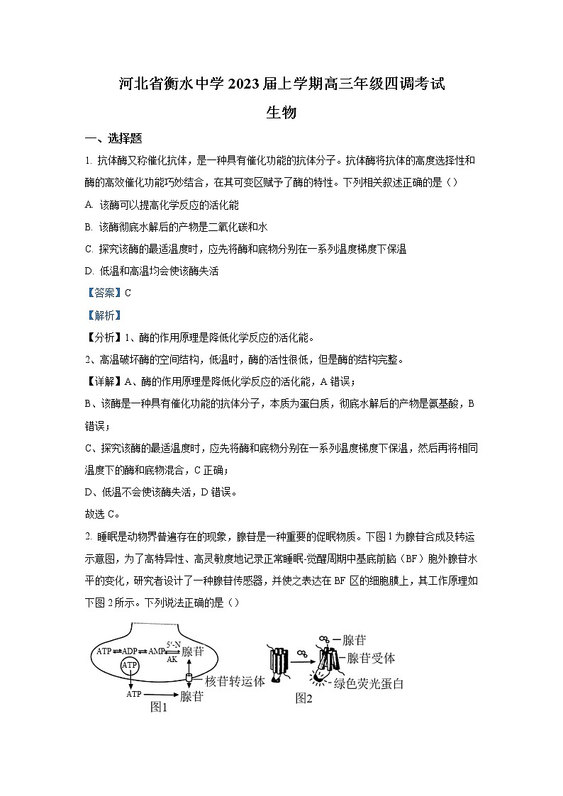 2023年河北省衡水中学高三四调考试 生物 含解析01
